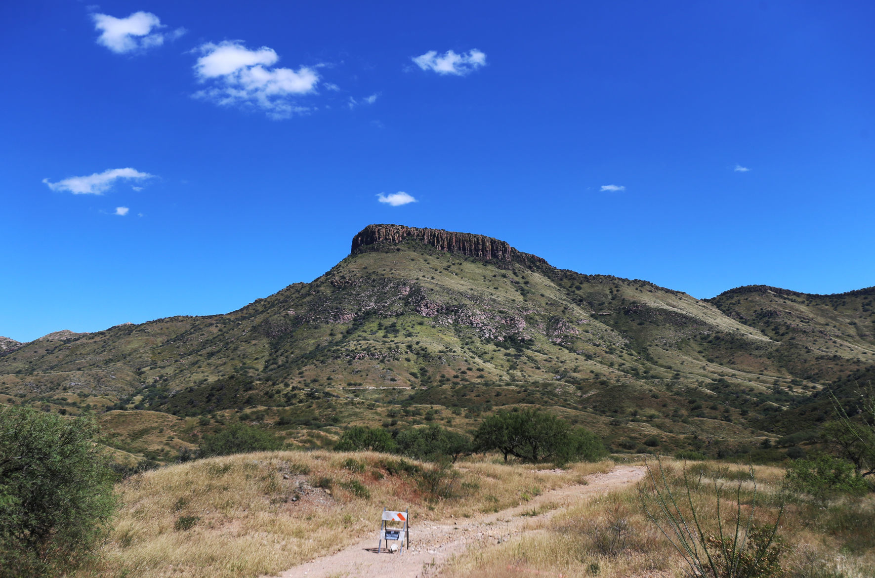 Arivaca